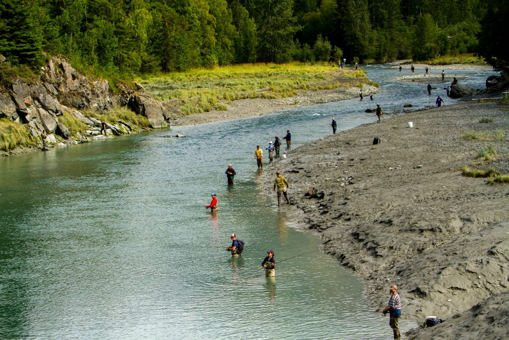 Alaska Salmon Fishing