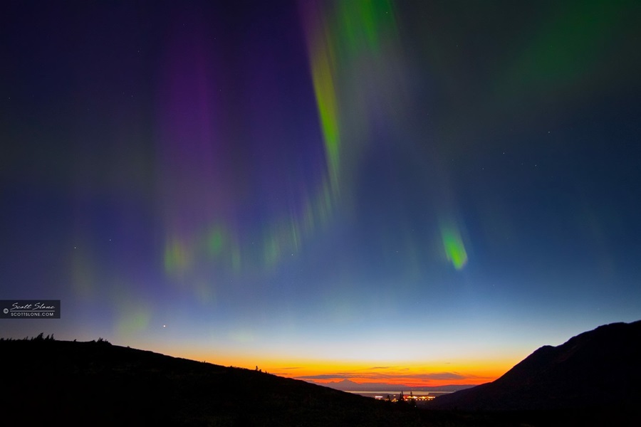 Why You Should Consider Alaska for Your Next Cruise