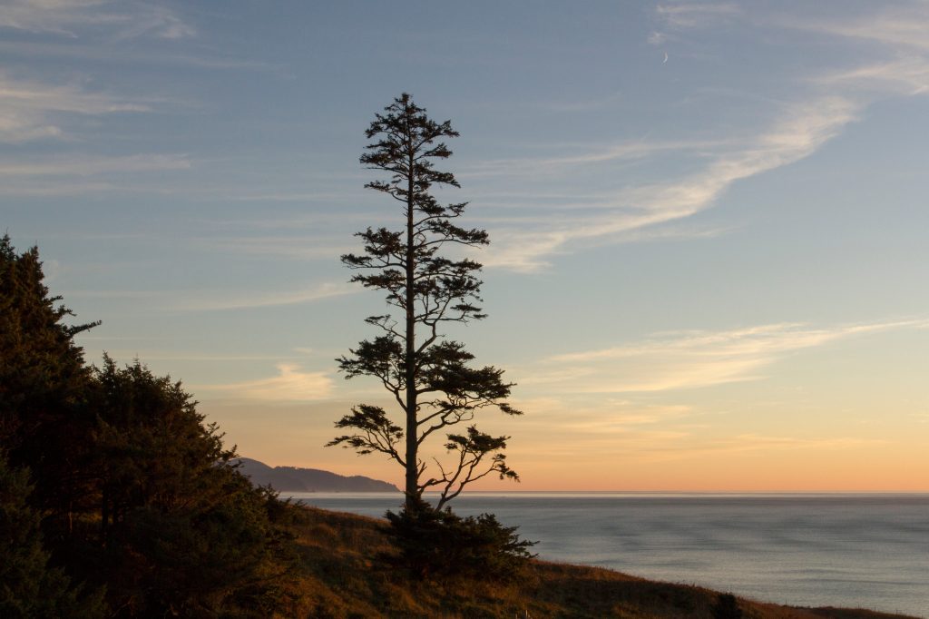 Thriving Wildlife and Breathtaking Scenery