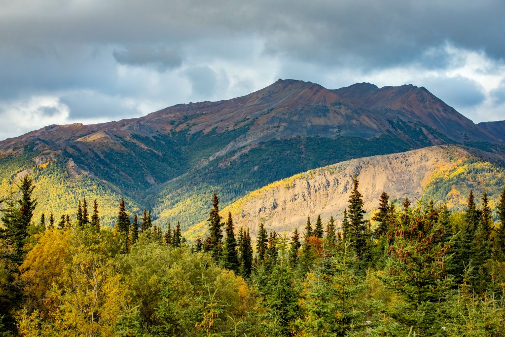 Denali National Park and Preserve