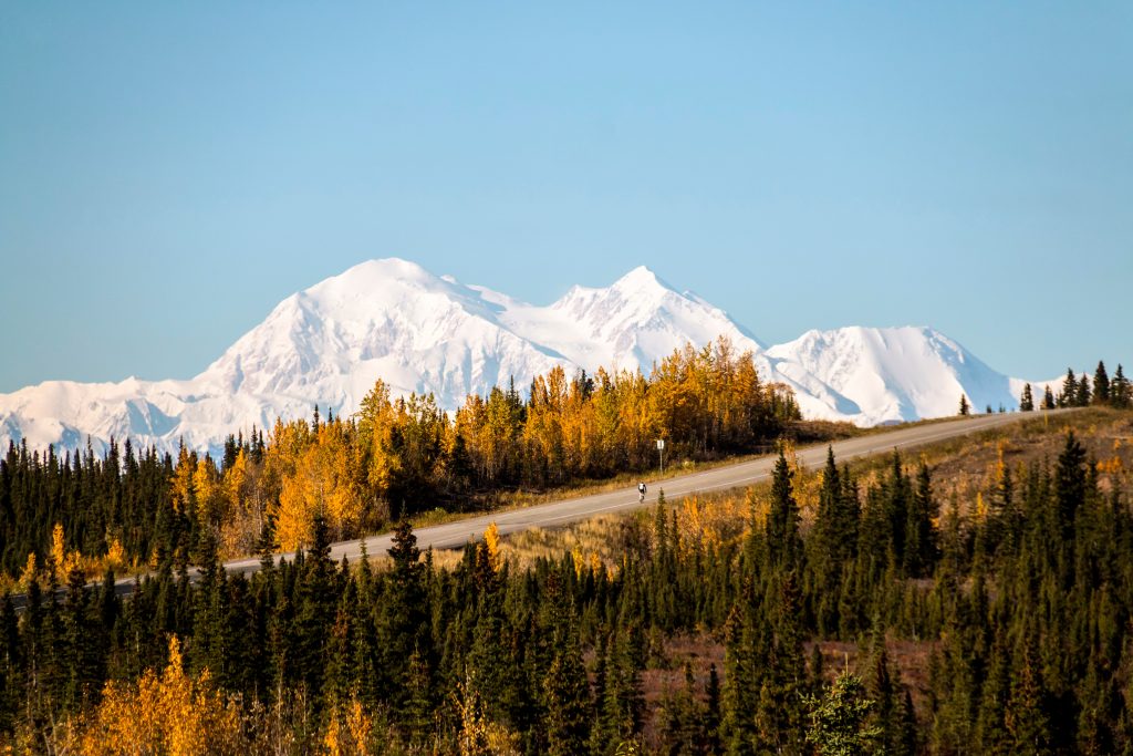 Kenai Fjords National Park scenery
