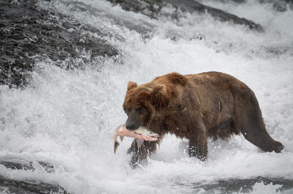 Kodiak Island