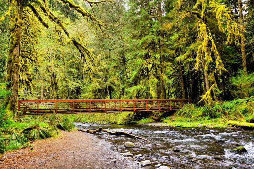 Olympic National Park