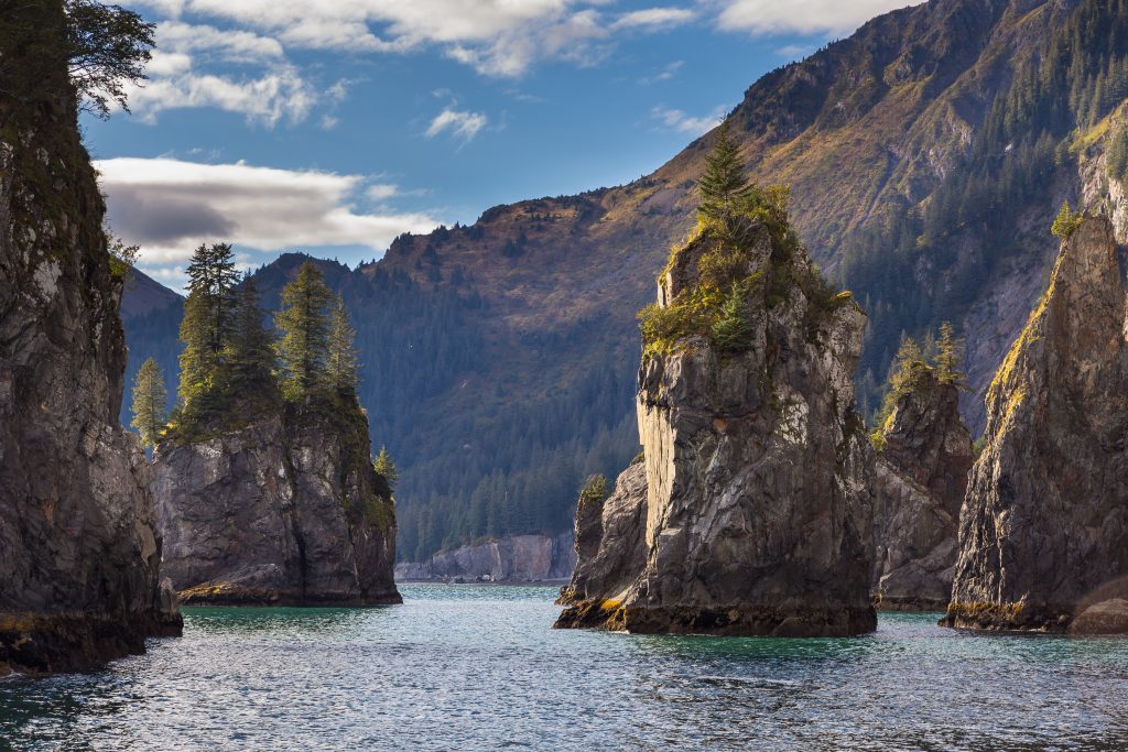 Kenai Fjords National Park