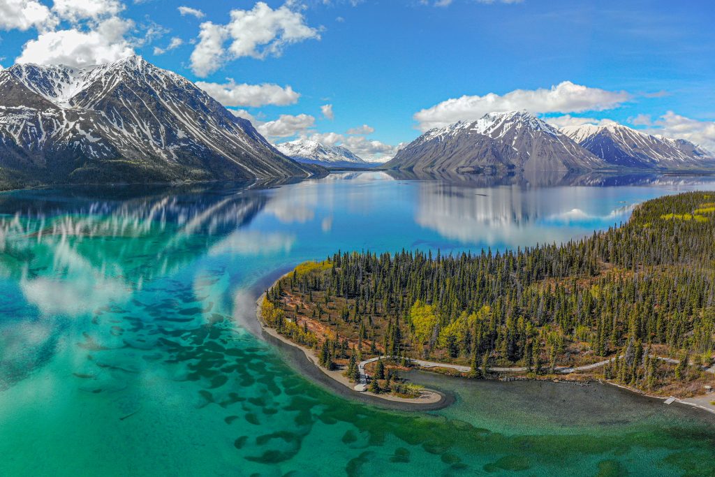 The Top 10 Things to Do in Haines, Alaska