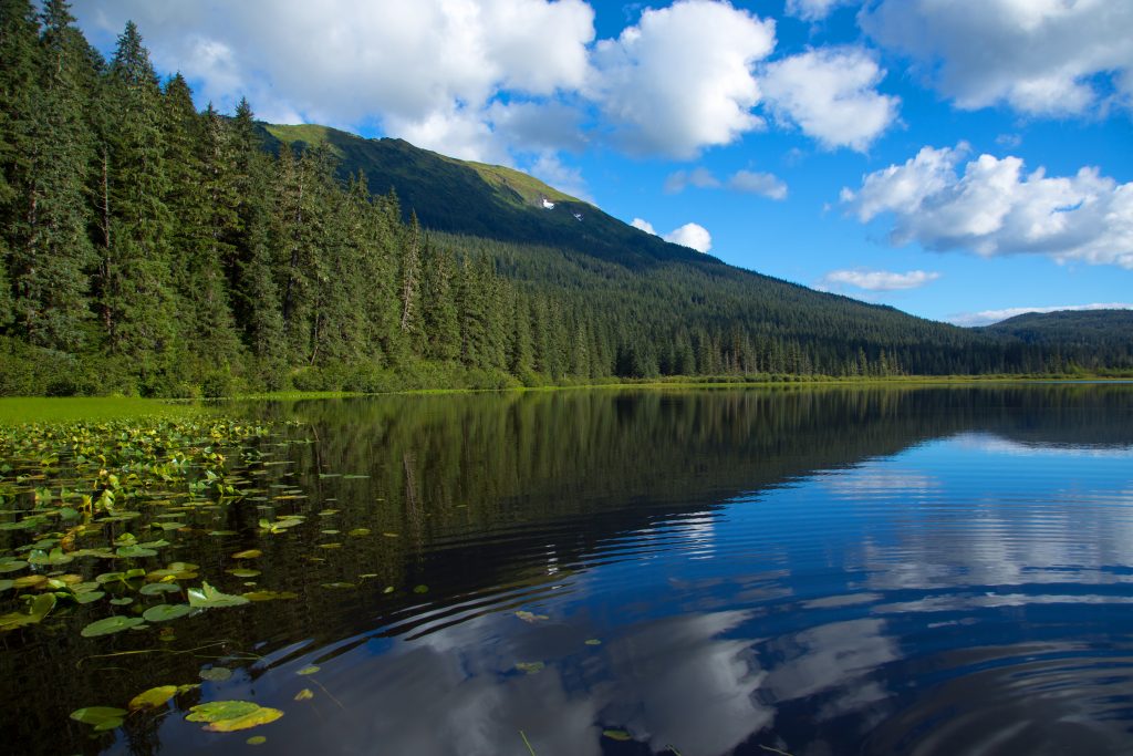 Wrangell-St. Elias National Park and Preserve