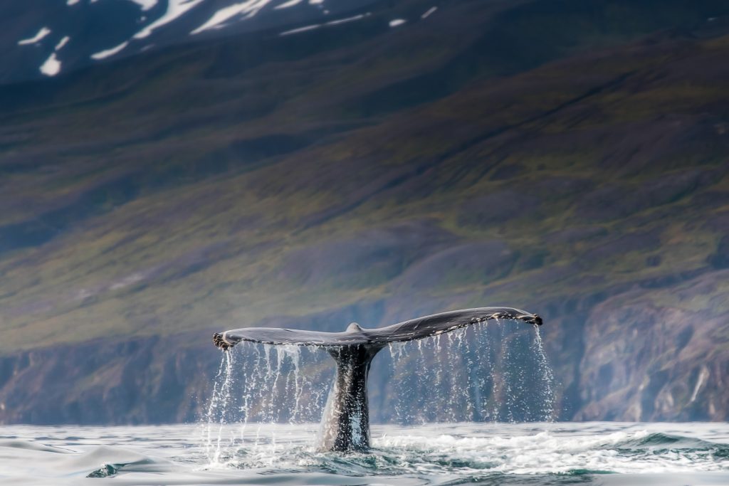 Inside Passage